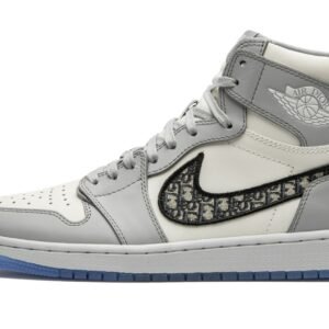 Air Jordan 1 Retro High “Dior”