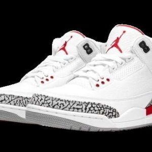 Air Jordan 3 Retro Hall ofFame 398614