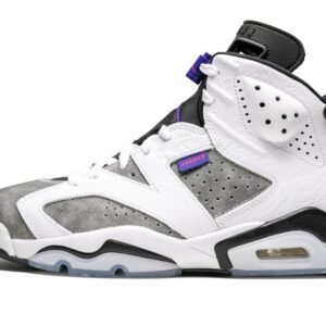 Air Jordan Retro 6 “Flint Grey”